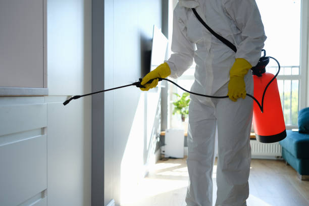 Mold Removal Process in Mabton, WA