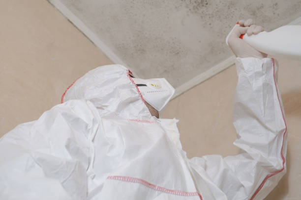 Best Attic Mold Removal  in Mabton, WA